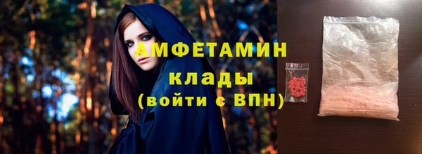 прущие грибы Алзамай