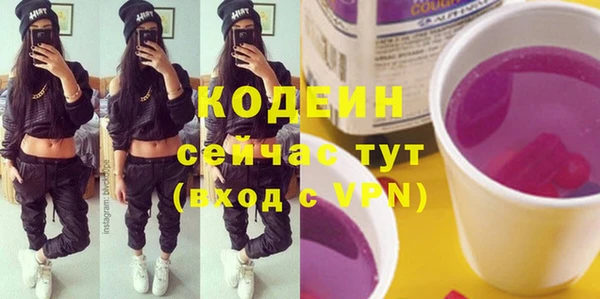прущие грибы Алзамай
