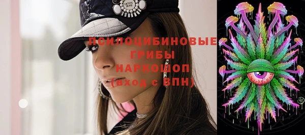 прущие грибы Алзамай