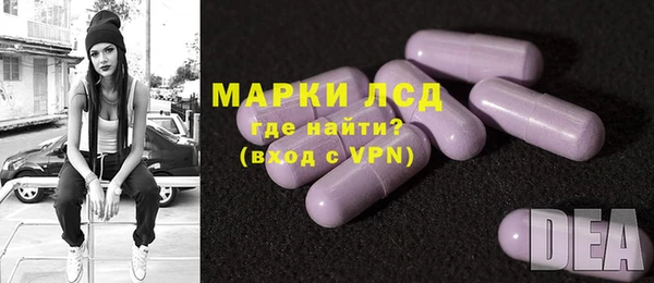 прущие грибы Алзамай