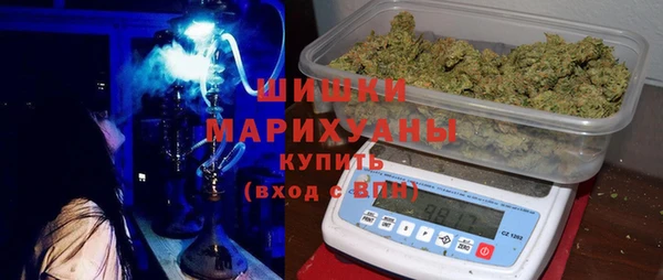 прущие грибы Алзамай